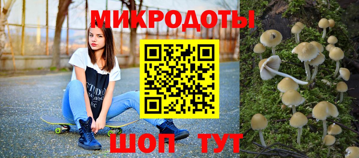 Галлюциногенные грибы прущие грибы Тольятти