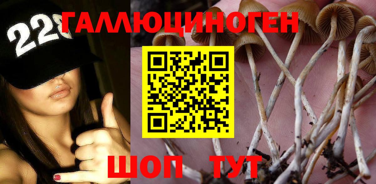Галлюциногенные грибы ЛСД  Вход с VPN  Псилоцибиновые грибы GOLDEN TEACHER  Тольятти 